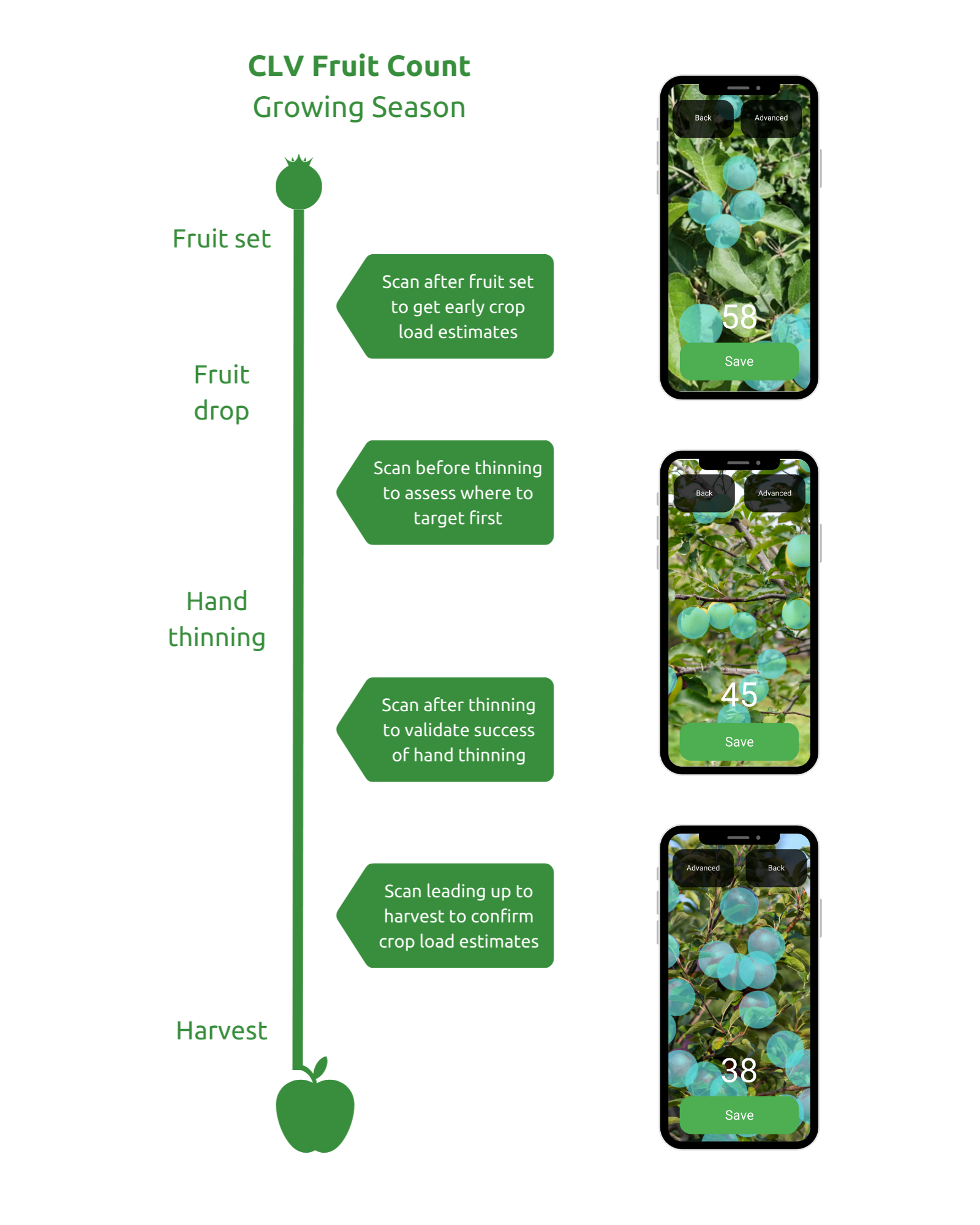 Scanning with Crop Load Vision