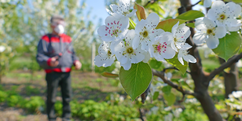 Budding man in background