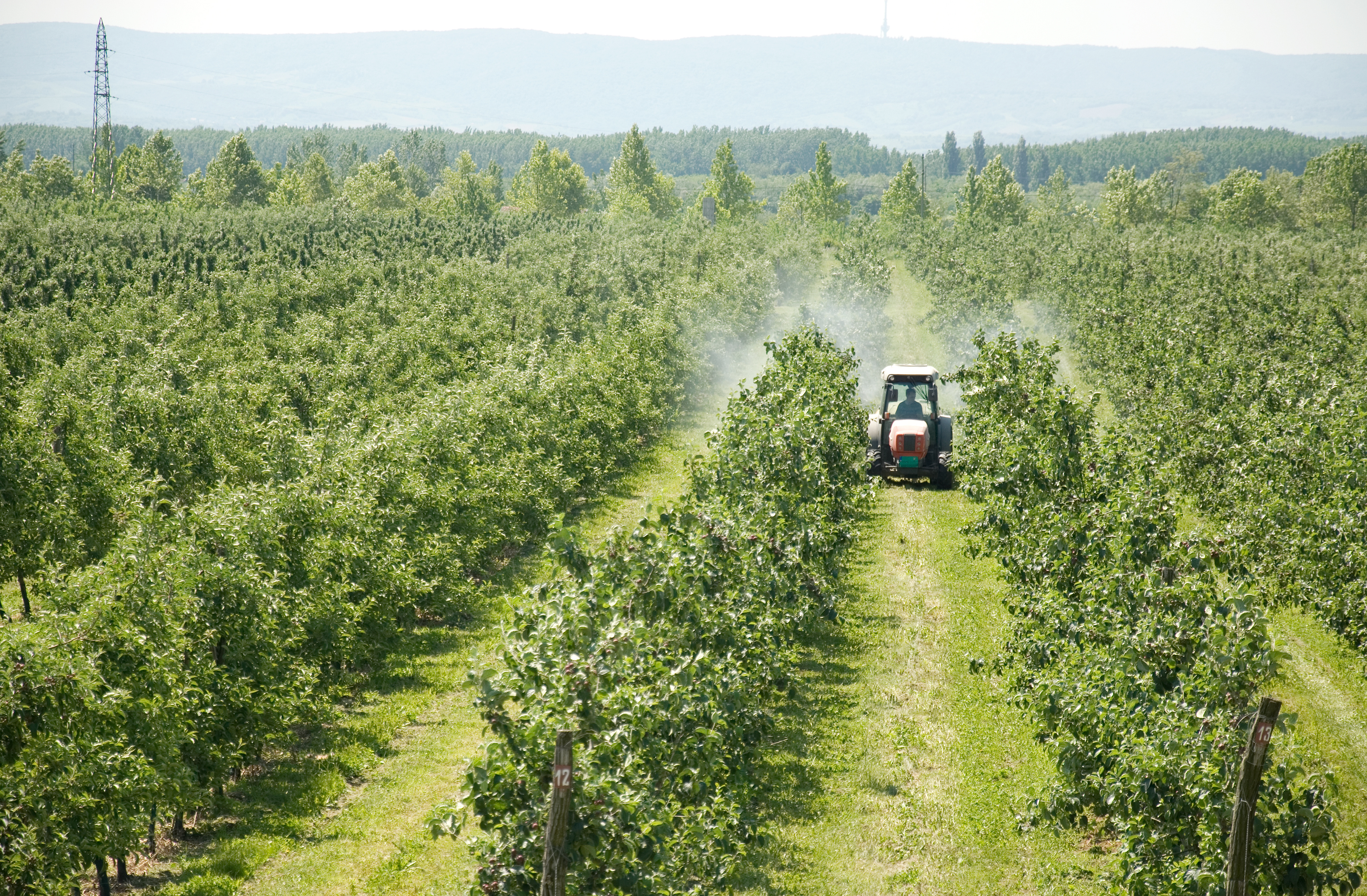 spraying an orchard