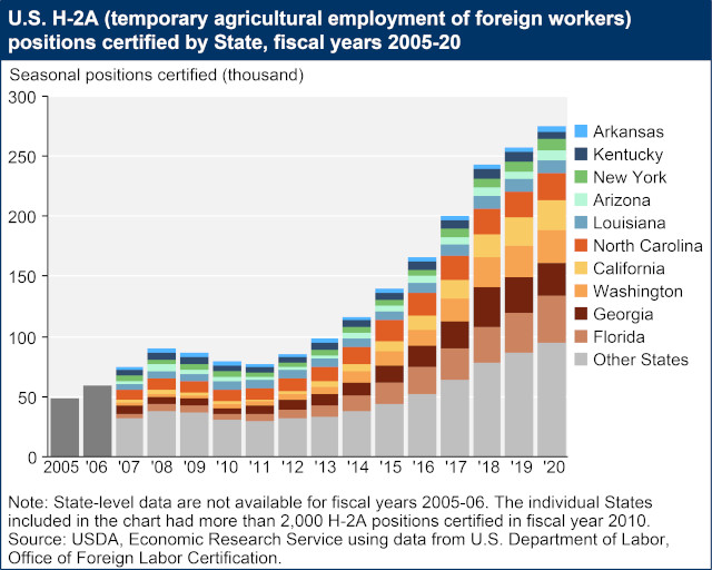 A graph shows the distribution of H2A Agricultural positions from 2005-2020, it shows an upward trend with all states showing a rapid increase in the numbers of workers brought in each year