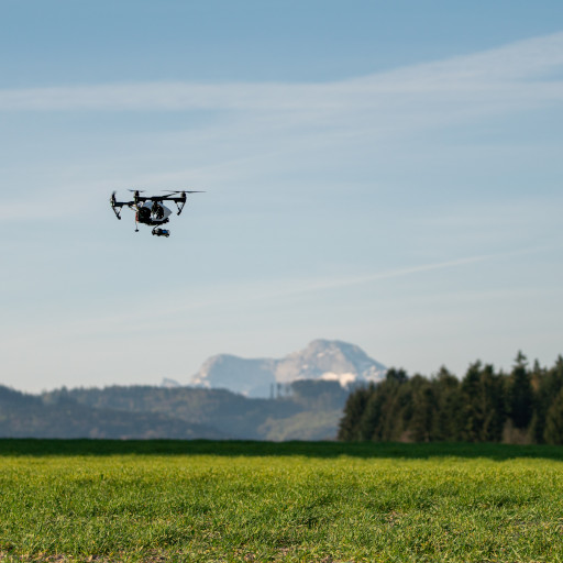 A drone flies over a field of wildflowers.