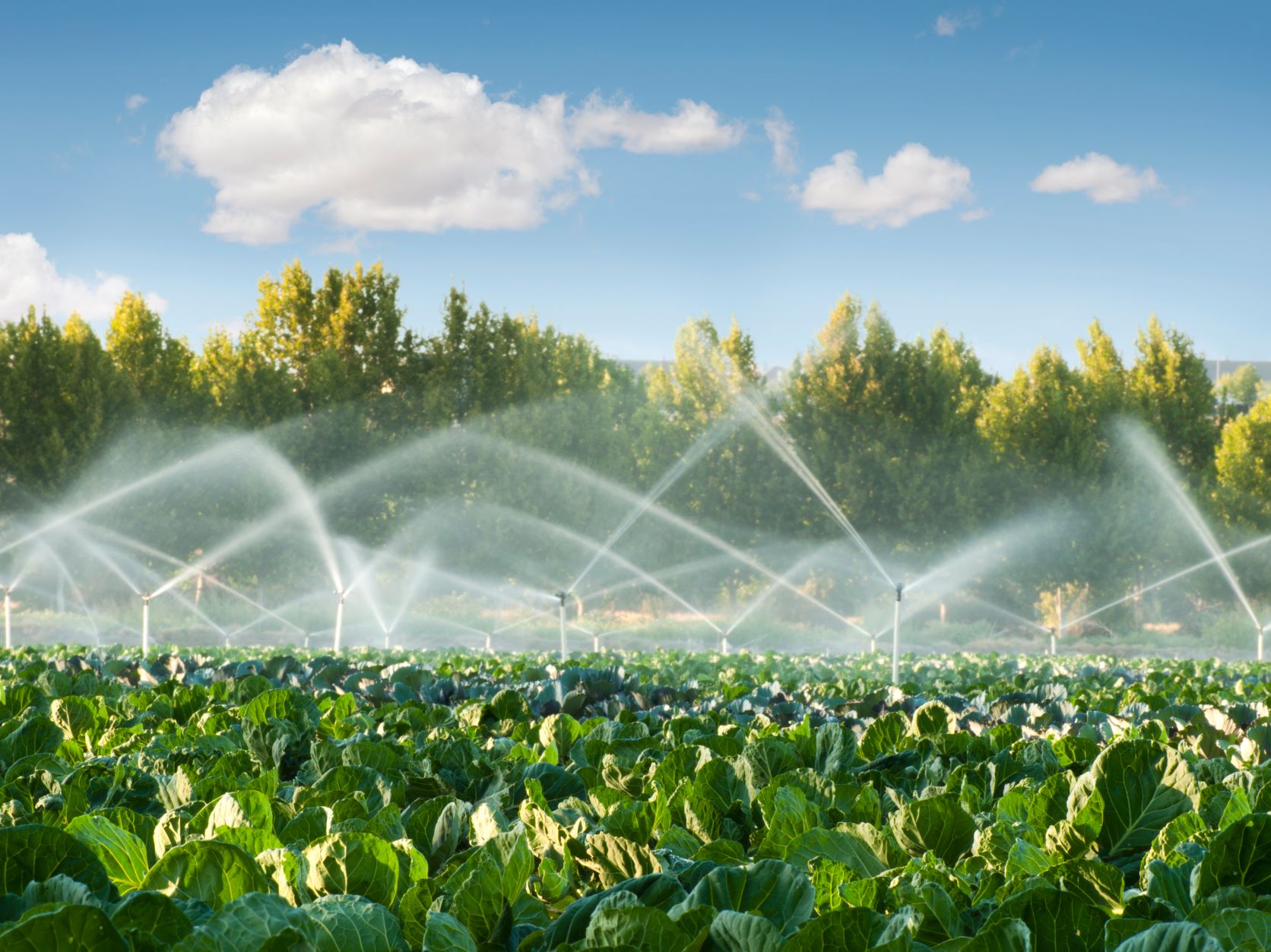 Irrigating a field