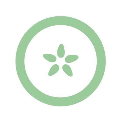 A simplified graphic of an apple cross section