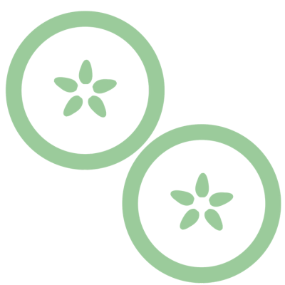 A simplified graphic of an apple cross section