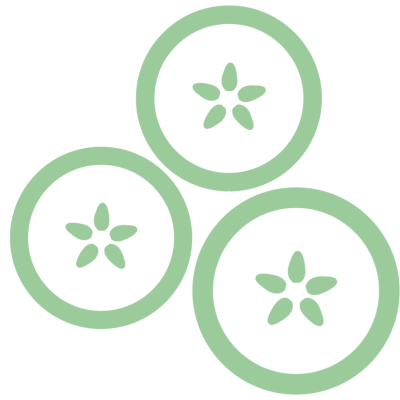 A simplified graphic of an apple cross section