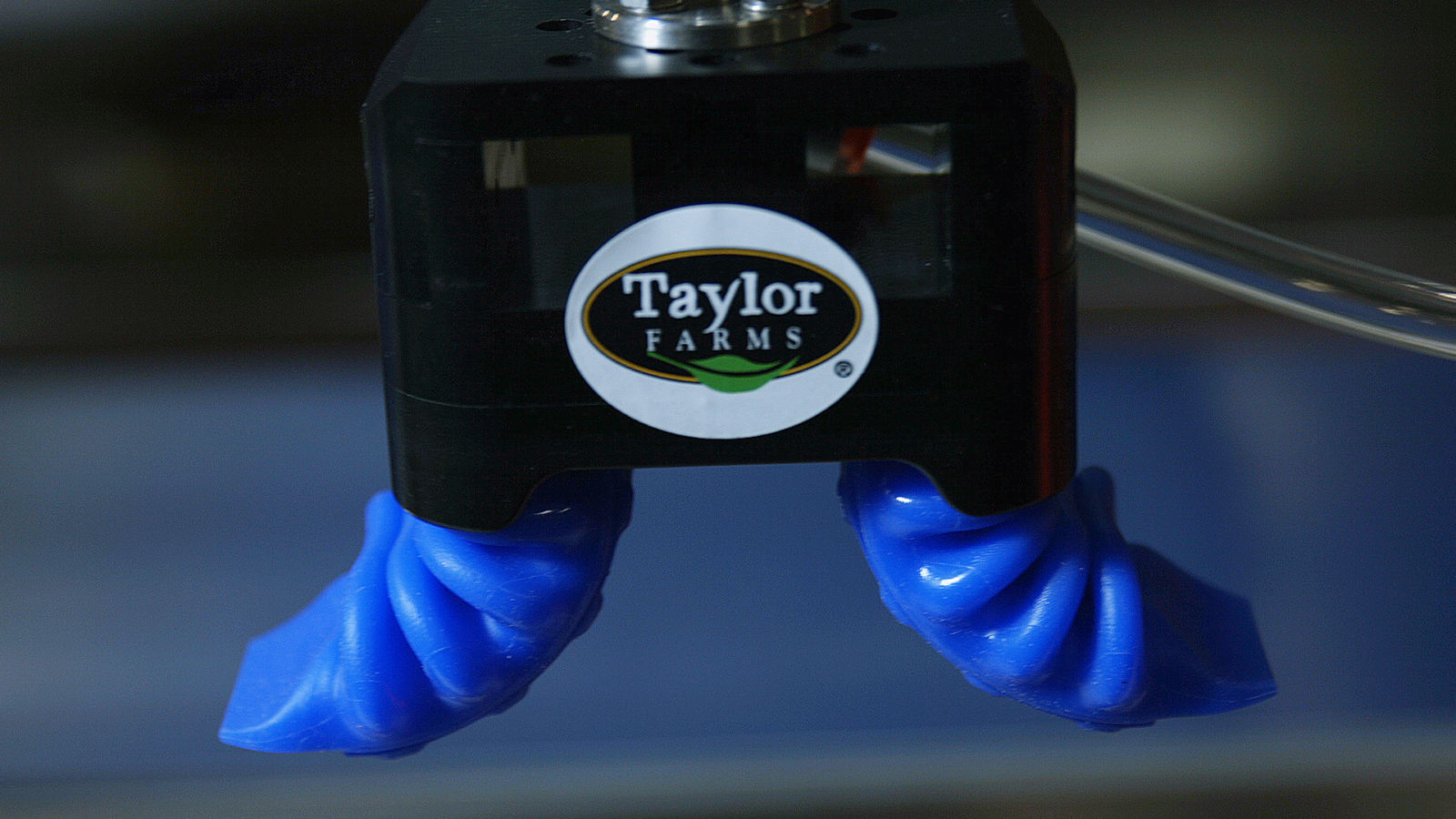 TFD SOFT ROBOTICS PIC3