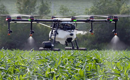 A drone sprays crops