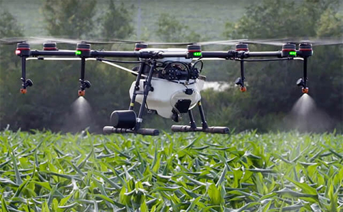 En drone sprayer avlinger