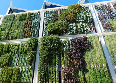 Vertical farming