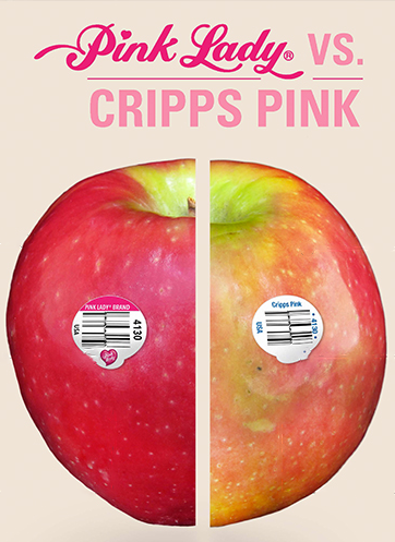 crippsPink pinkLady