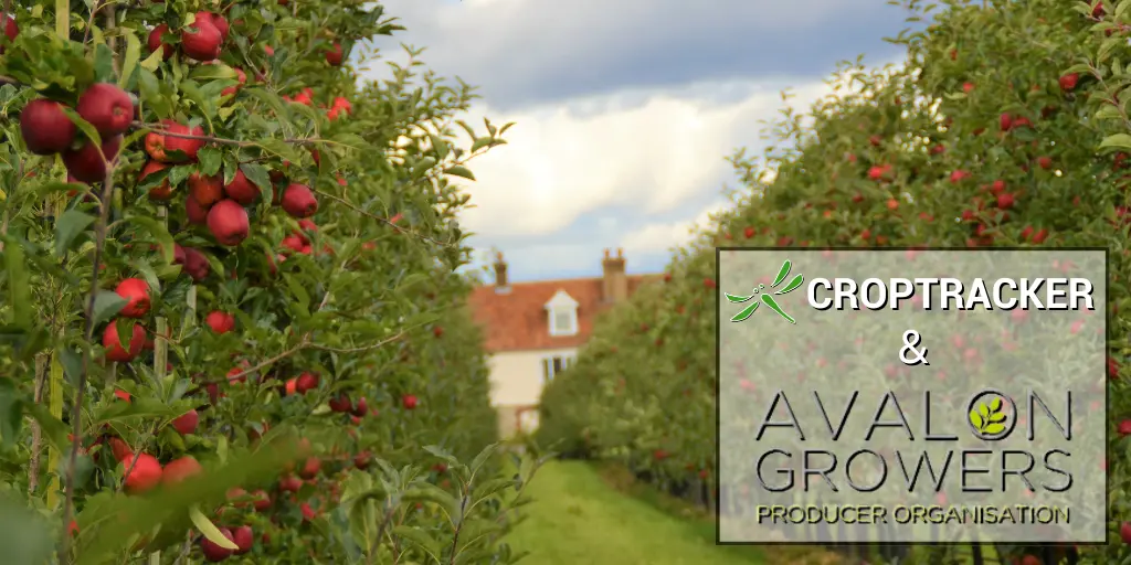 Croptracker Customer Spotlight: AGPO - Avalon Growers Producer Organisation