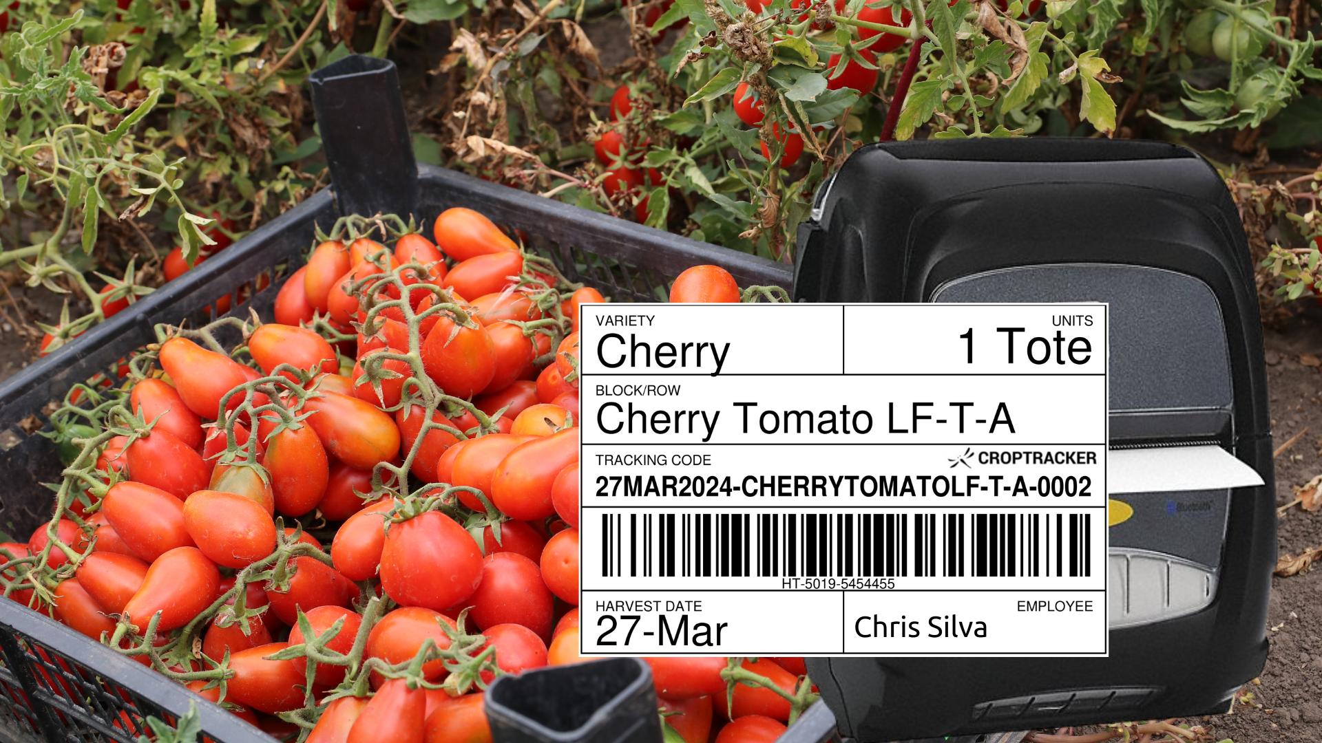 example of a croptracker label in tomato harvest