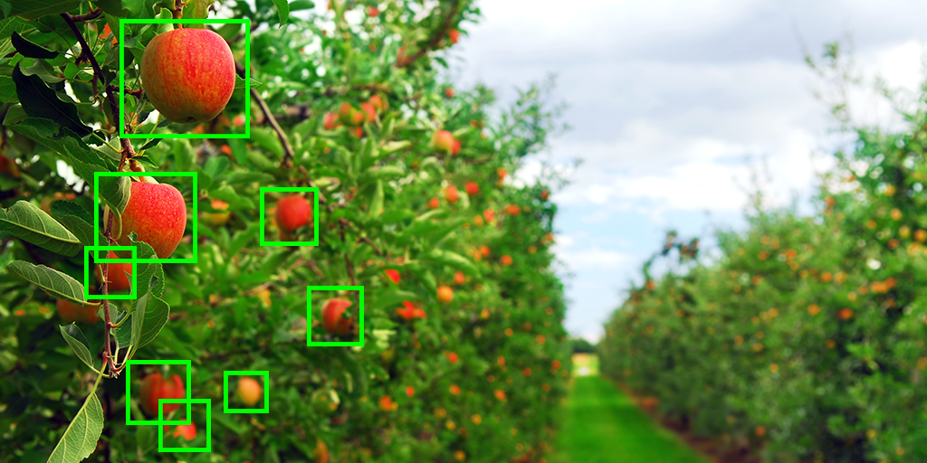 WeedGuard - Smart Weed Detection