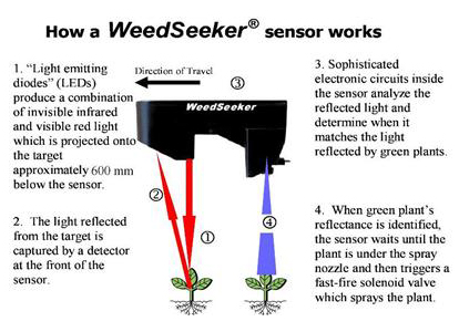 How weedseeker works