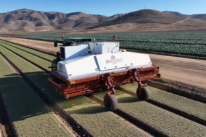 CarbonRobotics laser weeder in action