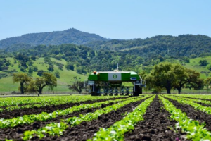 The Naio Oz model works in large scale fields