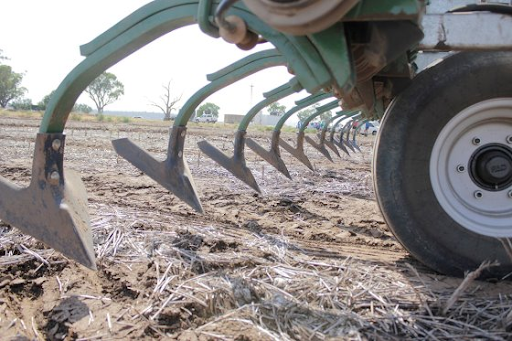 The tines of the WeedChipper activate to remove weeds in their path