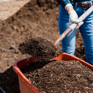 Compost and manure are a key part of organic nutrient management