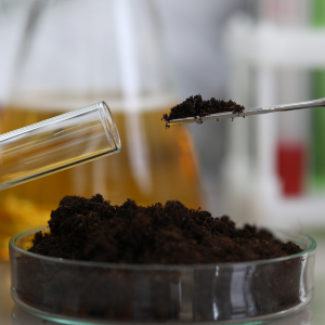 A soil sample is placed into a test tube