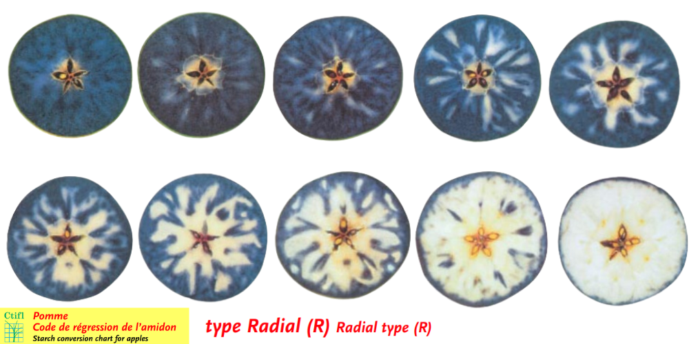 The radial pattern CTIFL SPI chart