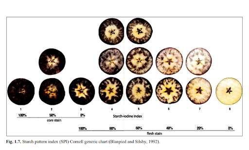 The cornell starch iodine index is an 8 point scale. 