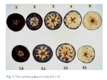 The laimburg scale is out of five, with one decimal point. 