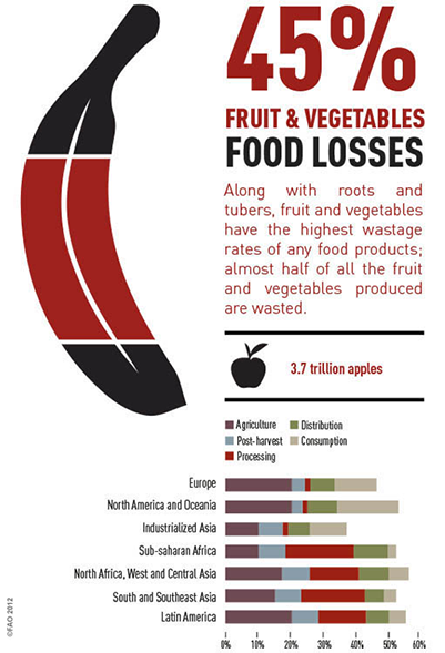 fruitWasteGraphic