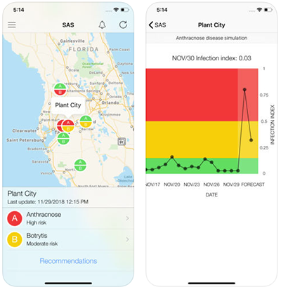 Strawberry Advisory System App