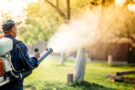 Spray