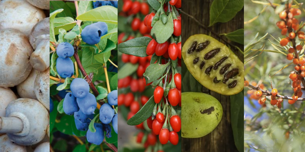 Croptracker - High Value & High Labor: Specialty Crops