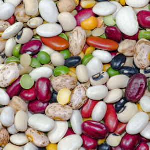 legumes