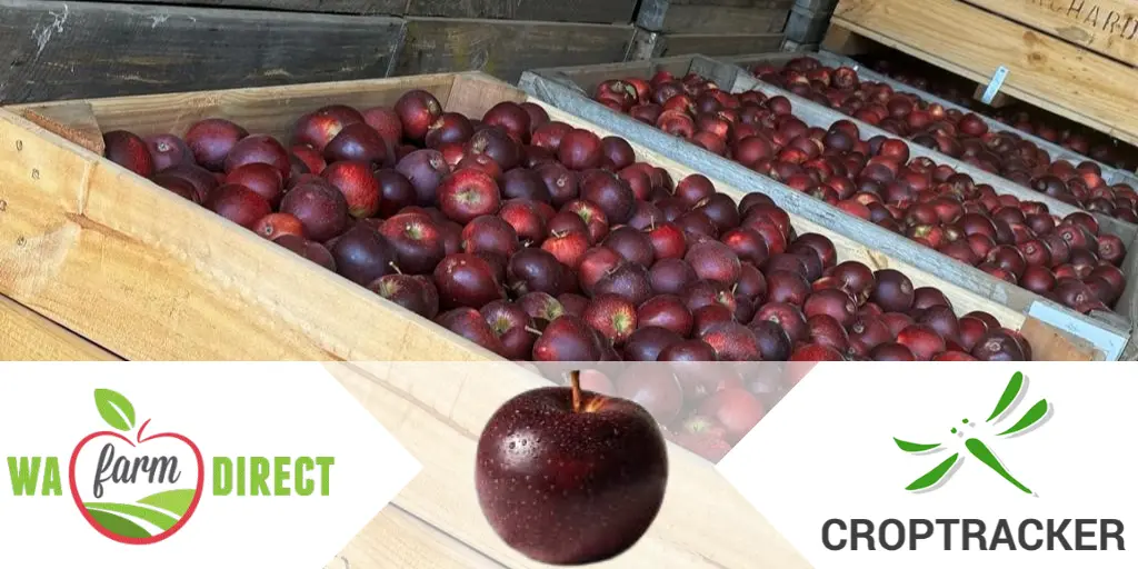 Croptracker Customer Spotlight: WA Farm Direct
