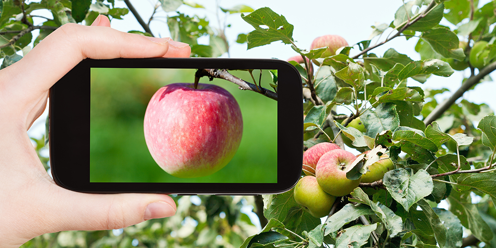 AgTech post-harvest innovator that helps extend produce quality