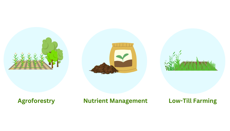 Carbon capture methods, a bag of fertilizer, a field with a tree buffer, and a field with a wild border are shown on a blue circle background.