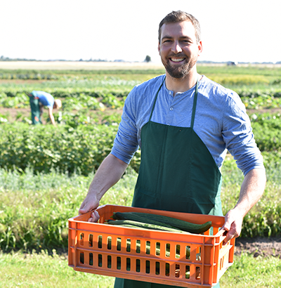 Man harvests cucumbers