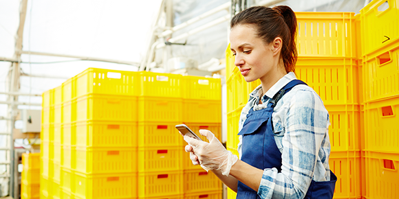 A worker in a packhouse checks in on her cell phone