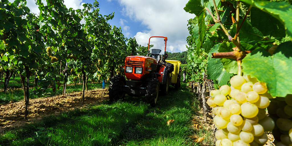 tema supplere Mærkelig Croptracker - Robotic Technologies In Agriculture