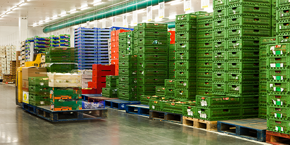 A warehouse with stored produce on pallets
