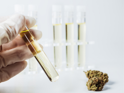 Cannabis THC testing