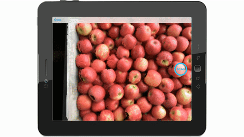 animated depiction of harvest quality vision scanning tool being used