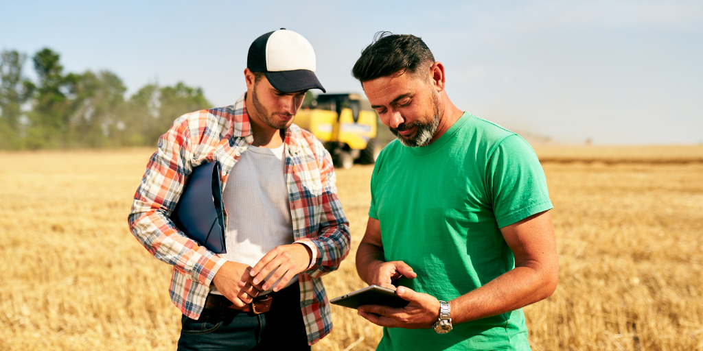 two farmers in wheat field looking at a tablet
