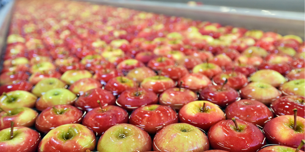 Water submerged apples