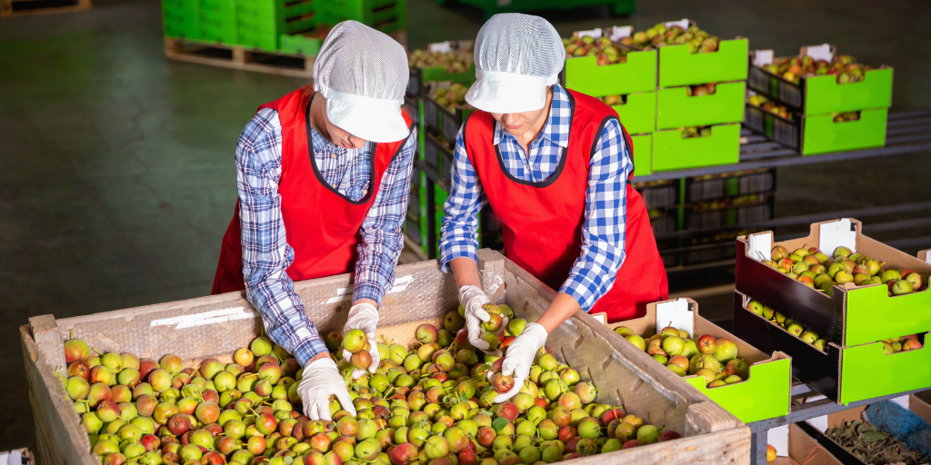 workers in packhouse