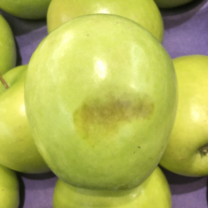 Apples show bruising