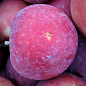 An apple with stem puncture