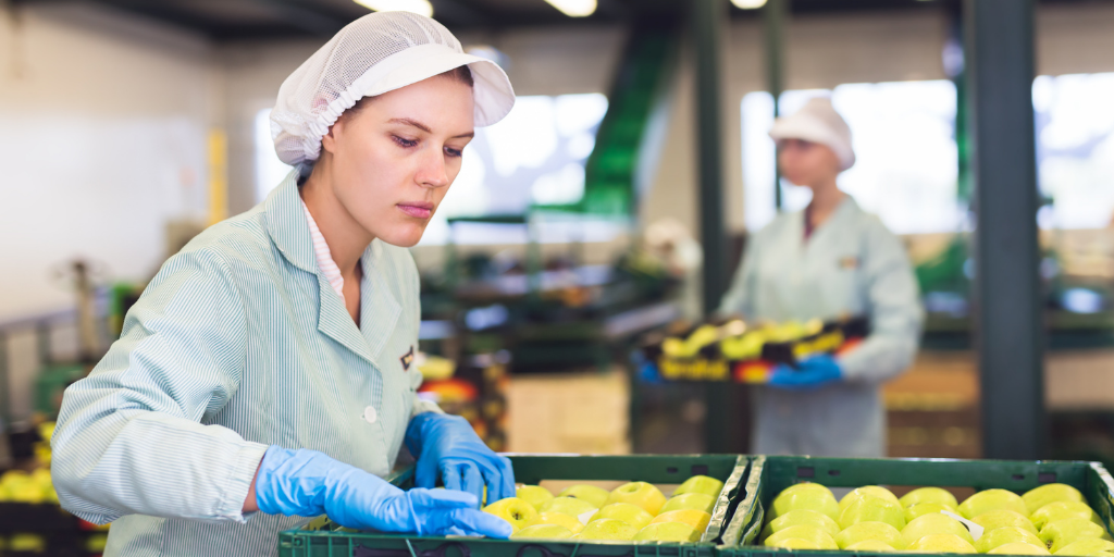 worker in P.P.E. checking apples on packline