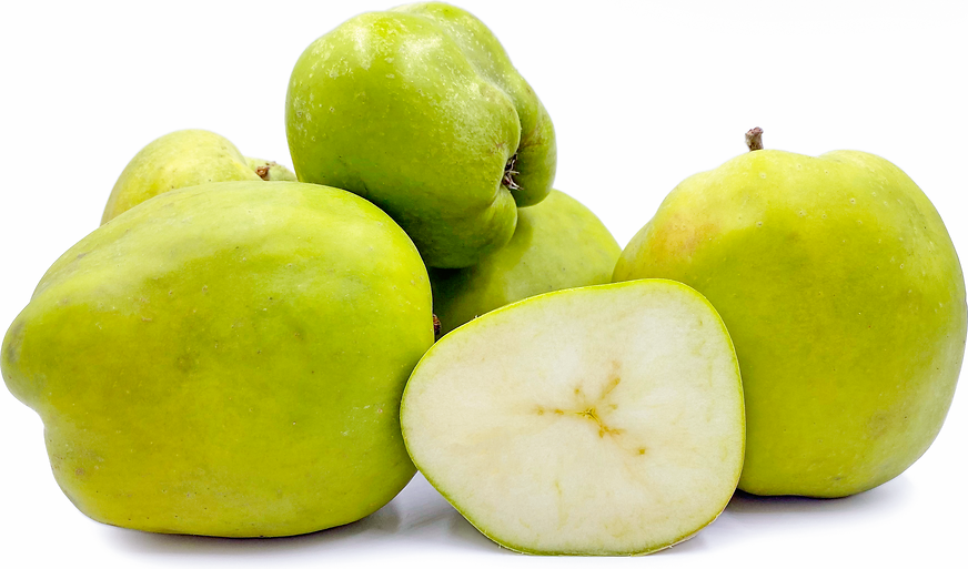 catshead apples shot in a lightbox