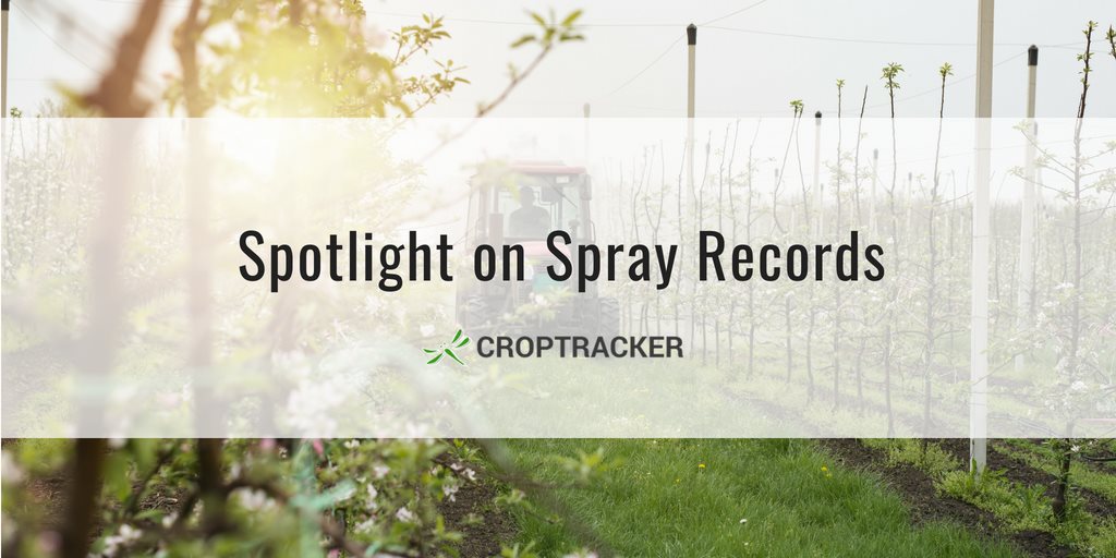 Spotlight on Spray Records