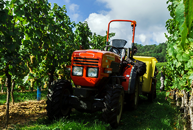 A red tractor in an orchard