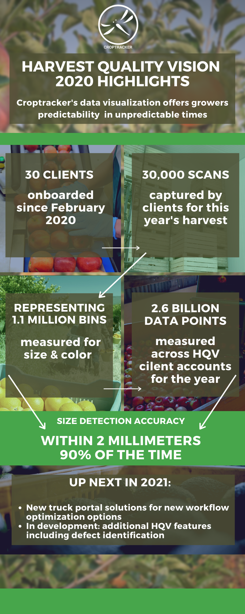 infographic outlining mumerical stats of scans and data points captured in 2020